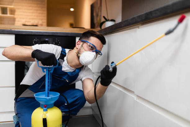 Best Rat Extermination Near Me  in Shavertown, PA