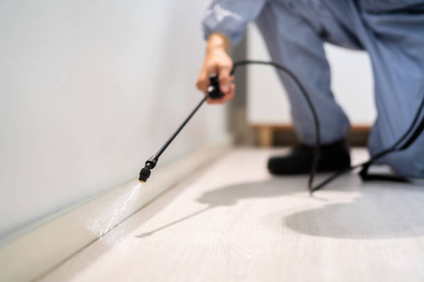 Professional Pest Control in Shavertown, PA