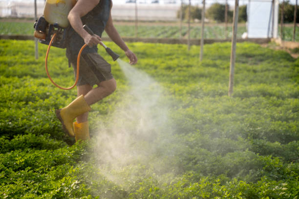 Best Mosquito Control Services  in Shavertown, PA