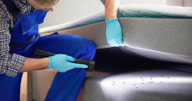 Best Residential Pest Control  in Shavertown, PA