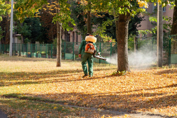 Best Flea Control Services  in Shavertown, PA