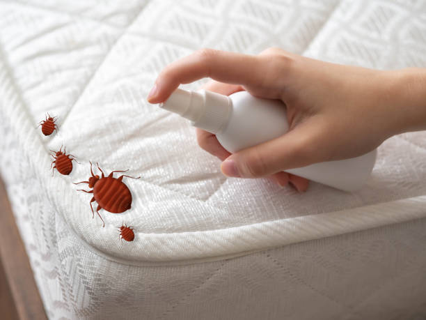 Best Pest Prevention Services  in Shavertown, PA