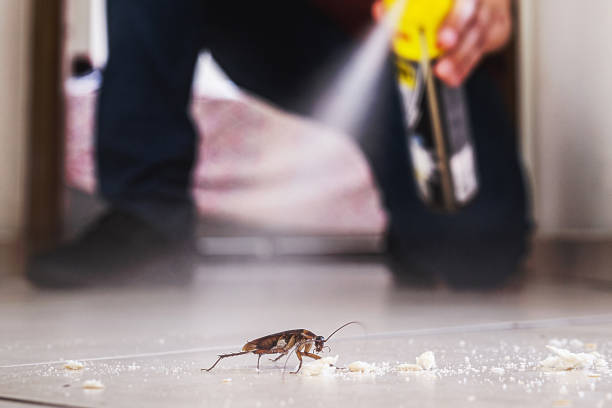 Best Bed Bug Extermination  in Shavertown, PA