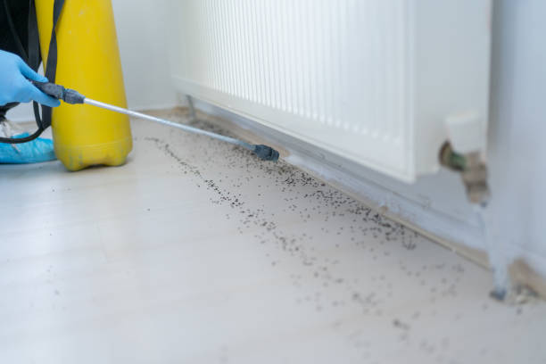 Best Emergency Pest Control  in Shavertown, PA